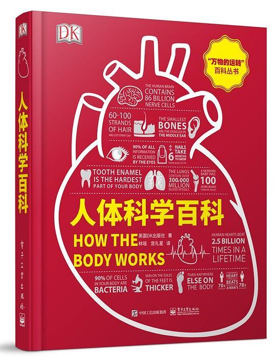 人体科学百科（全彩）