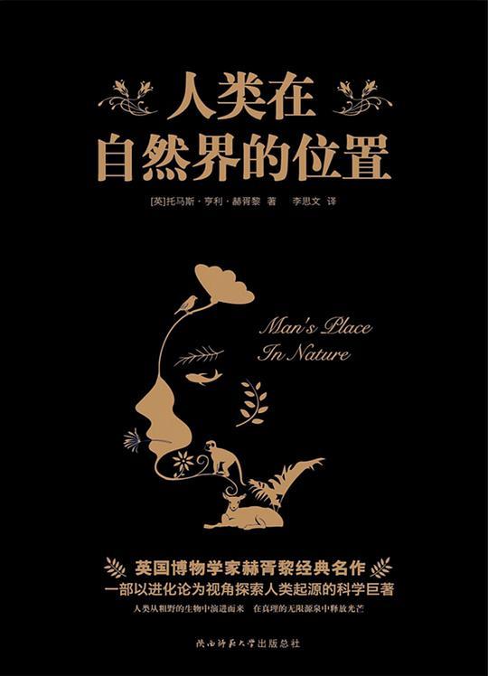 人类在自然界的位置