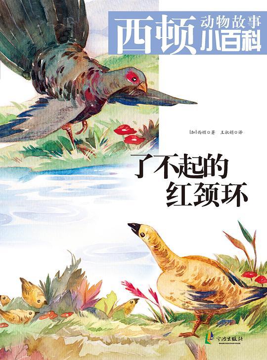 了不起的红颈环