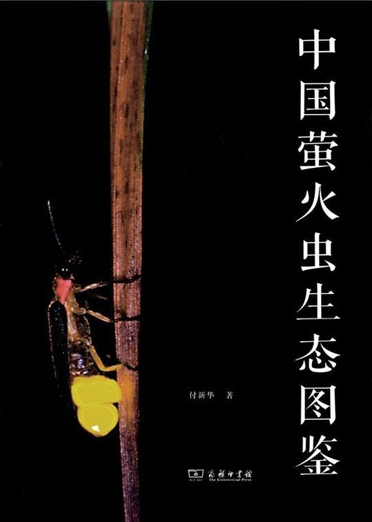 中国萤火虫生态图鉴