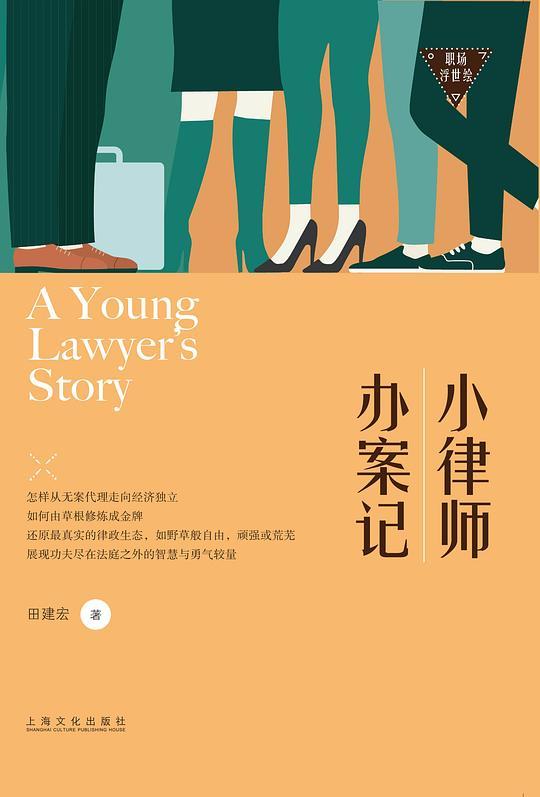 小律师办案记（职场浮世绘）