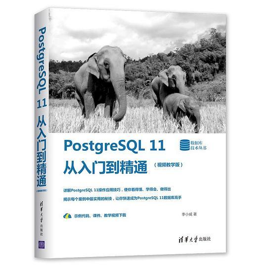 PostgreSQL 11从入门到精通(视频教学版)（数据库技术丛书）