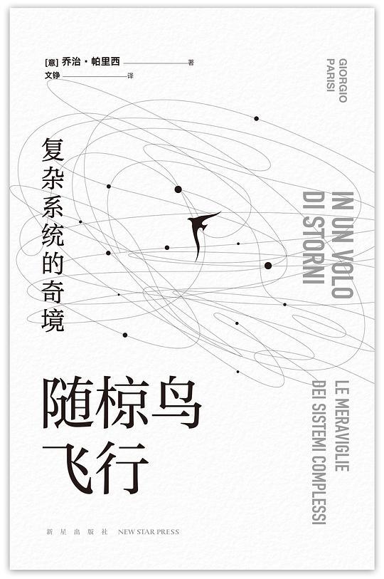 随椋鸟飞行：复杂系统的奇境