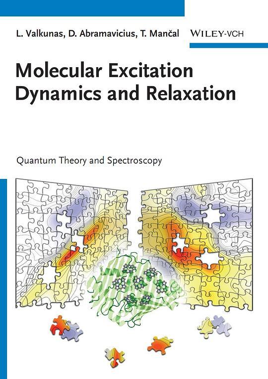 Molecular Excitation Dynamics and Relaxation