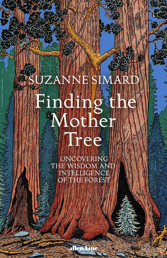 Finding the Mother Tree