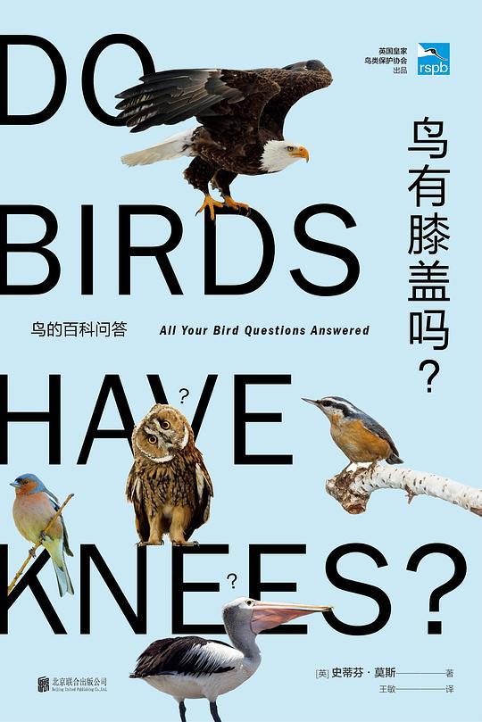 鸟有膝盖吗：鸟的百科问答