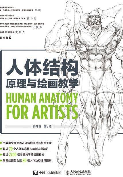 人体结构原理与绘画教学