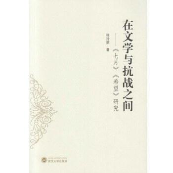 在文学与抗战之间