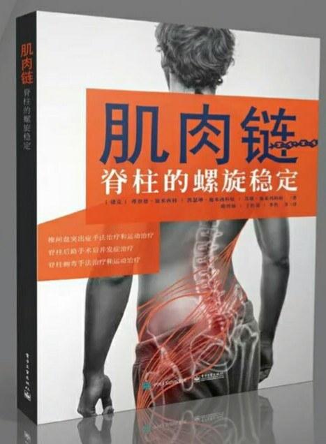 肌肉链：脊柱的螺旋稳定