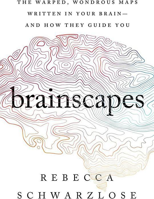 Brainscapes