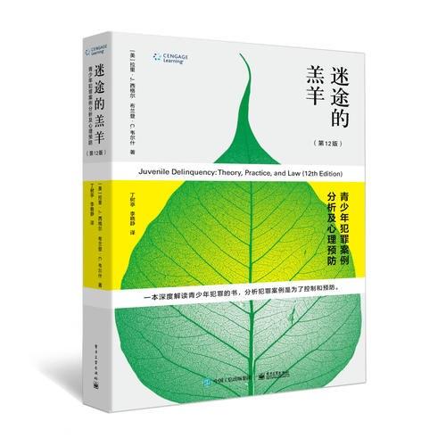 迷途的羔羊：青少年犯罪案例分析及心理预防