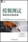 模糊测试