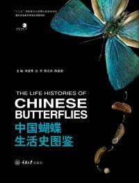 中国蝴蝶生活史图鉴
