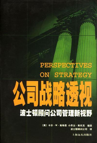 公司战略透视