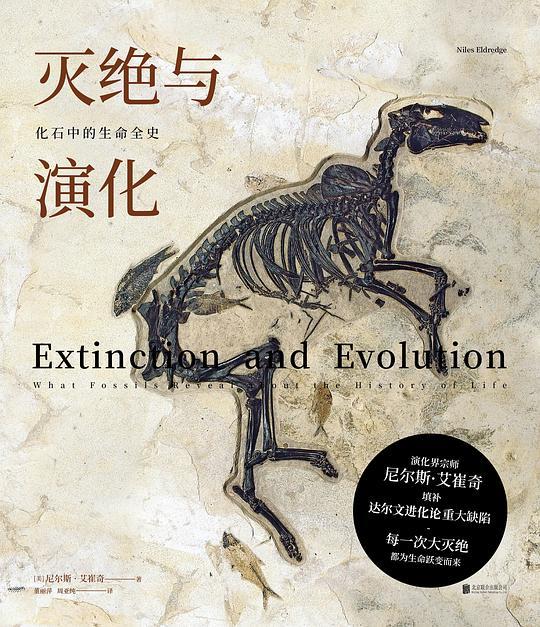 灭绝与演化