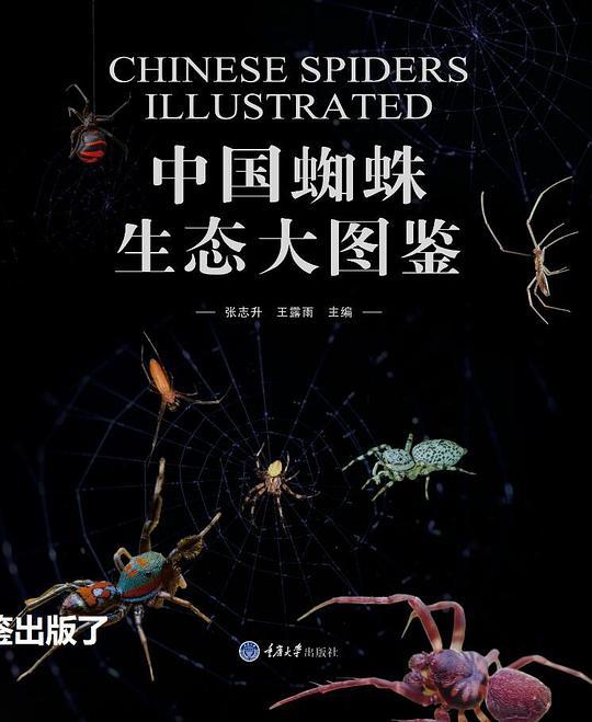 中国蜘蛛生态大图鉴