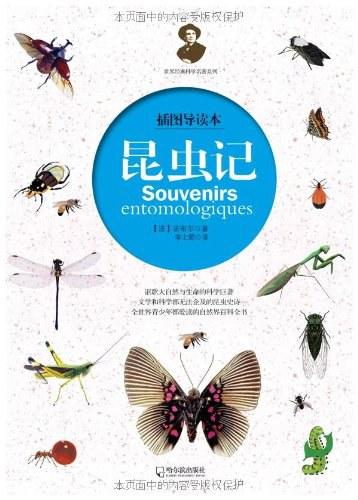 昆虫记（插图导读本）