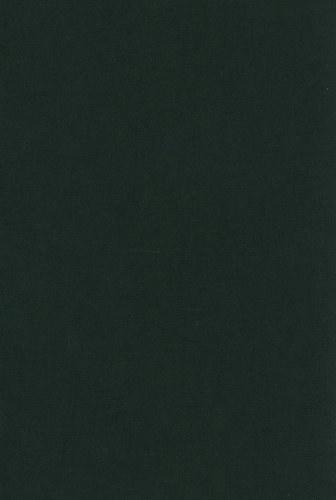 Video in Qualitative Research