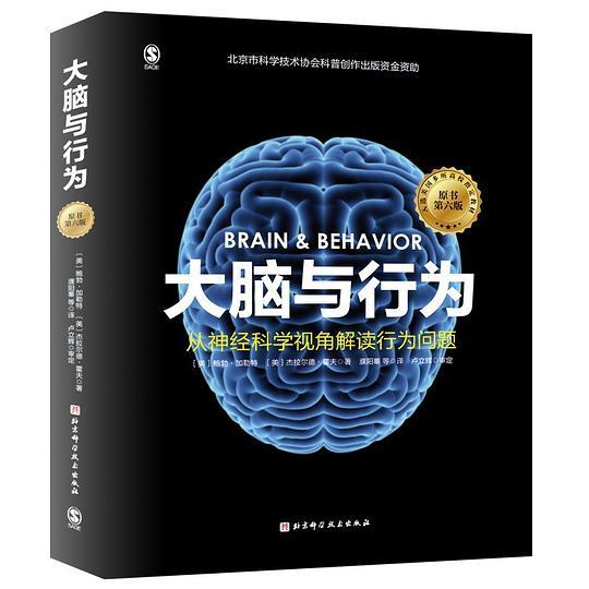 大脑与行为