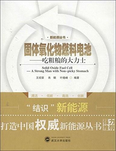 固体氧化物燃料电池